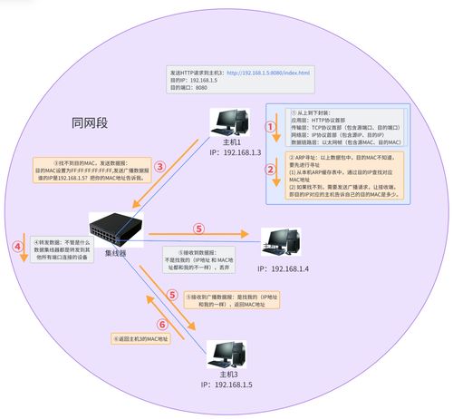 網絡通信與數據傳輸流程在信息安全軟件開發中的關鍵作用
